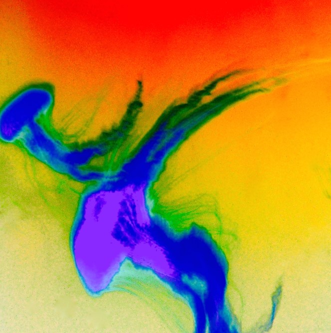 blue jelly fish 3 copy 2