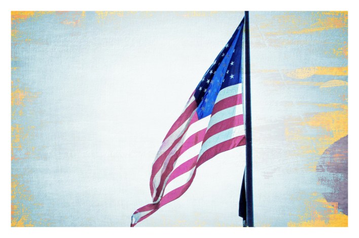 DC Trip Flag_edited-1