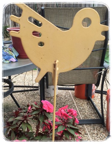 What does the duck say?