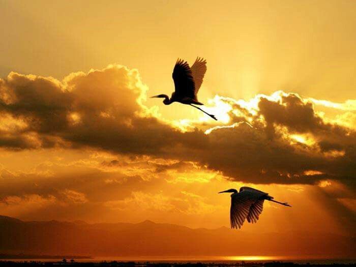 a3986f8d6cac136fd1a94ce68b6a87a4