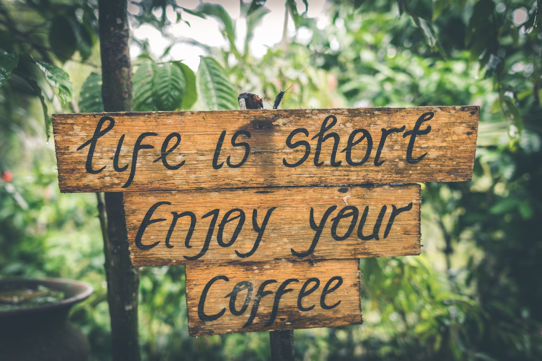 shallow photography of life is short enjoy your coffee signage